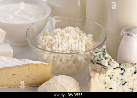 Verschiedene Milchprodukte: Käse; Creme; Milch. Auf einem weißen Hintergrund. Stockfoto