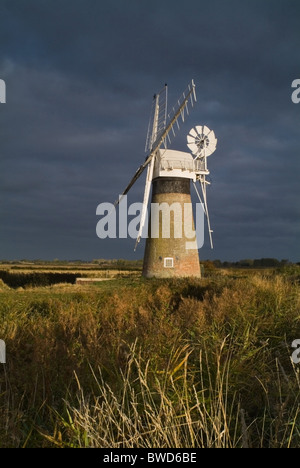 Eine Windmühle in den Norfolk Broads genommen eine Morgendämmerung Stockfoto