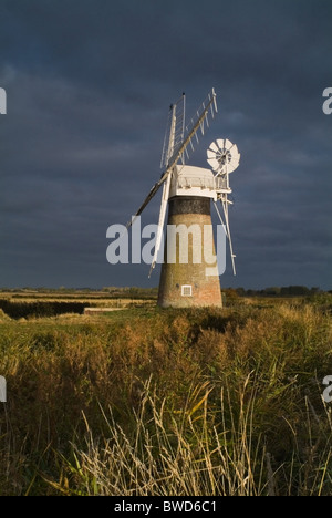 Eine Windmühle in den Norfolk Broads genommen eine Morgendämmerung Stockfoto