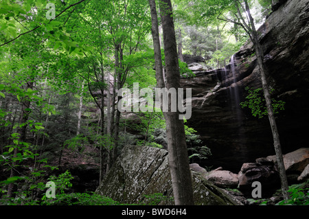 Falls Wasserfall John B. Stephenson Memorial Wald Zustand Natur bewahren Rockcastle county Kentucky USA Anglin Stockfoto