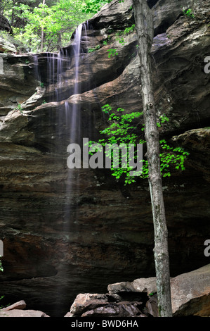 Falls Wasserfall John B. Stephenson Memorial Wald Zustand Natur bewahren Rockcastle county Kentucky USA Anglin Stockfoto