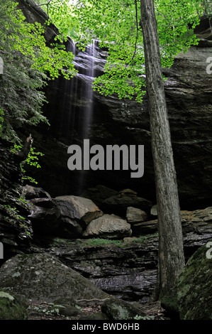 Falls Wasserfall John B. Stephenson Memorial Wald Zustand Natur bewahren Rockcastle county Kentucky USA Anglin Stockfoto