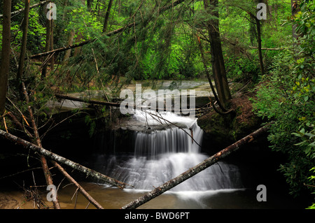 Schöpfung fällt Wasserfall Rainbow Wildnis Red River Gorge geologischen Bereich Daniel Boone National Forest Kentucky Stockfoto