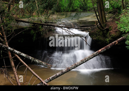 Schöpfung fällt Wasserfall Rainbow Wildnis Red River Gorge geologischen Bereich Daniel Boone National Forest Kentucky Stockfoto