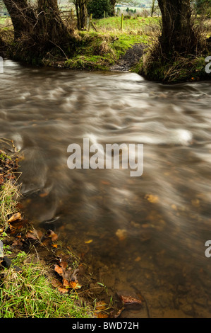 Wasser fließt entlang eines Baches in der Nähe von Chipping in Lancashire, Vereinigtes Königreich Stockfoto