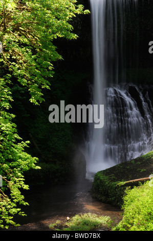 Mittleren Norden fällt Silber fällt State Park Oregon USA Trail von zehn Fälle Canyon Trail Stockfoto