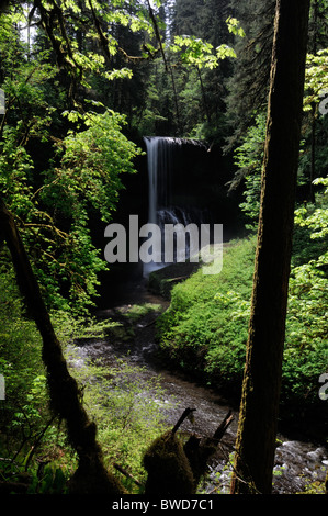 Mittleren Norden fällt Silber fällt State Park Oregon USA Trail von zehn Fälle Canyon Trail Stockfoto