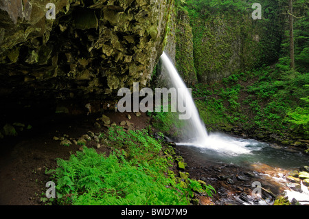 Pferdeschwanz fällt Silber fällt State Park Oregon USA Trail von zehn Fälle Canyon Trail Weg Weg Weg unter unter Stockfoto