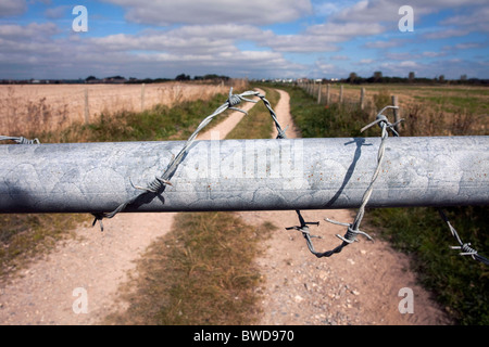 Wanderer mit der Verkehrssysteme zu Maiden Castle Wanderweg versuchen, diesem Feldweg zu verwenden, anstatt über die A35-Straße. DAVID MANSELL Stockfoto