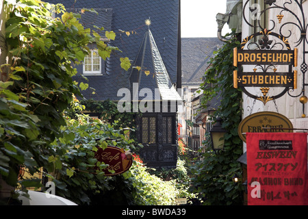 Die älteste Weinstube, Drosselhof in der Drosselgasse, Rüdesheim, Deutschland Stockfoto