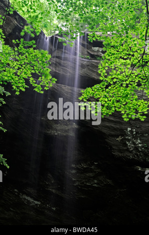 Falls Wasserfall John B. Stephenson Memorial Wald Zustand Natur bewahren Rockcastle county Kentucky USA Anglin Stockfoto