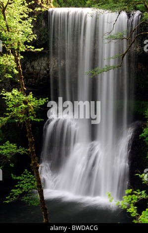 Unteren Süden fällt Silber fällt State Park Oregon USA Trail von zehn Fälle Canyon Trail Stockfoto