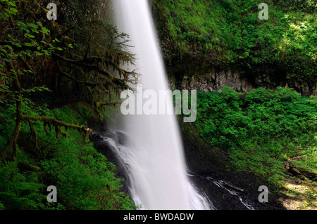 Mittleren Norden fällt Silber fällt State Park Oregon USA Trail von zehn Fälle Canyon Trail Stockfoto