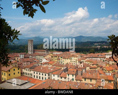 Blick über Lucca von der Spitze des Turmes Torre Guinigi mit der Piazza Anfiteatro sichtbar. Lucca, Toskana, Italien Stockfoto