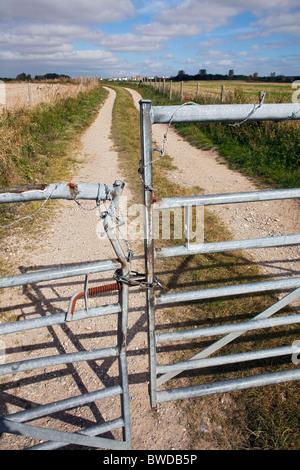 Wanderer mit der Verkehrssysteme zu Maiden Castle Wanderweg versuchen, diesem Feldweg zu verwenden, anstatt über die A35-Straße. DAVID MANSELL Stockfoto