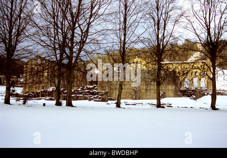 Ruinen von Rievaulx Abbey, Yorkshire, England Stockfoto