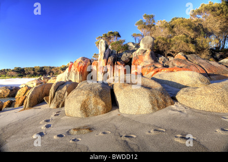 HDR-Foto von Fußspuren entlang der Bay of Fires Strand Tasmaniens Nordwestküste Stockfoto