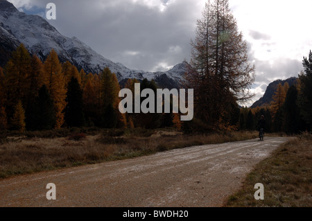 Radfahrer auf dem e-Bike in der Nähe von Pontresina, Graubünden, Schweiz Stockfoto