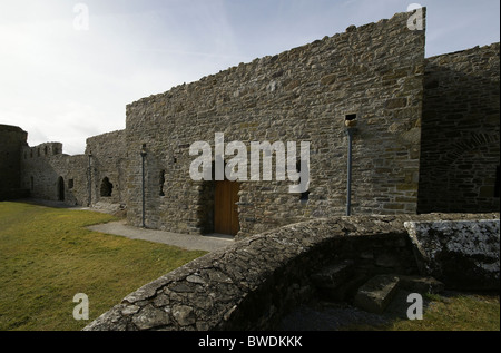 Jerpoint Abbey ist eine Zisterzienserabtei gegründet in der zweiten Hälfte des 12. Jahrhunderts, in der Nähe von Thomastown, Grafschaft Kilkenny, Irland Stockfoto