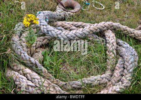 Spule von alten Seil liegen in der Wiese heilige Insel Lindisfarne Stockfoto