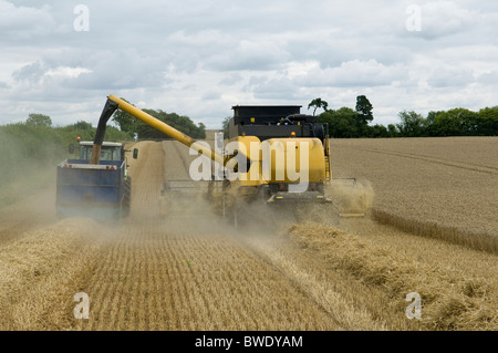 Kombinieren Sie entladen Weizen harvester Stockfoto