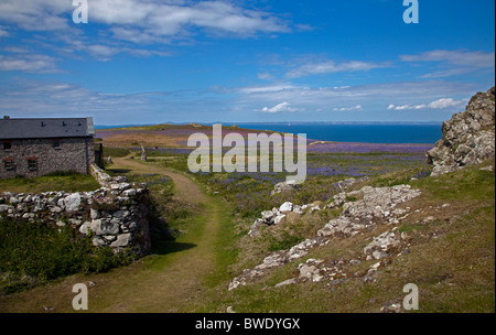 Bauernhaus auf der Insel Skomer, Pembrokeshire, Wales Stockfoto