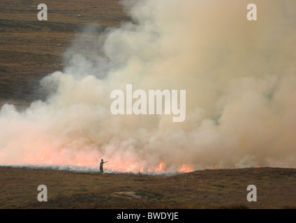 Muirburn gesteuerte Verbrennung von Heather auf Moorland Inverness-Shire-Hochland Stockfoto