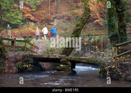 Eine Familie auf einem herbstlichen Spaziergang passieren die alte "Dame Vale" Klöppel Brücke in Cardinham Wald in der Nähe von Bodmin in Cornwall, Großbritannien Stockfoto