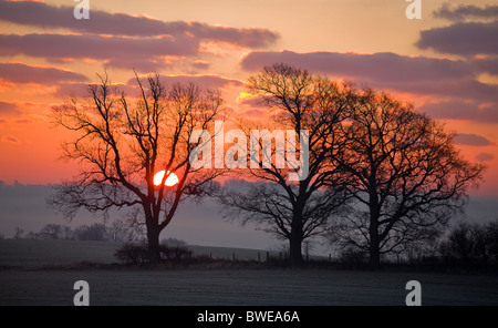 Wintersonne steigt aus dem nebligen Rother Valley über bewaldete Hügel in roter Himmel mit lila vergoldeten Wolken in der Nähe von Sandhurst Kent UK Stockfoto