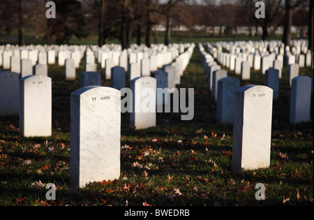 Grabsteine auf dem Arlington National Cemetery in der Nähe von Washington DC. Stockfoto