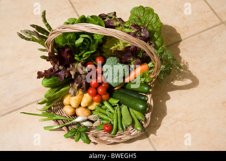 Delicious frisch lokal angebaute einzupfählen britische Frühling und Sommer Gemüse in einem Korb auf einem Fliesenboden in Weald of Kent UK Stockfoto