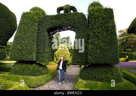 Frau Hecke HEDGE LEVENS HALL KENDAL CUMBRIA SEENPLATTE CUMBRIA ENGLAND KENDAL, CUMBRIA ENGLAND 17. August 2010 Stockfoto