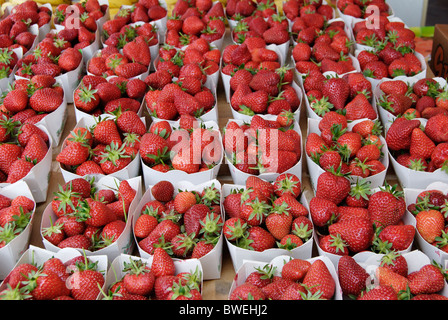 Bastkörbe Erdbeeren für den Verkauf auf Marktstand in Nizza. Cote d ' Azur. Frankreich Stockfoto