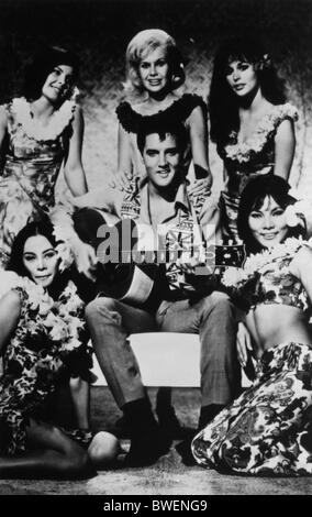 PARADISE, HAWAIIAN STYLE (1965) ELVIS PRESLEY MICHAEL MOORE (DIR) 002 MOVIESTORE SAMMLUNG LTD Stockfoto