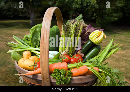 Bunte Trug von lokal angebauten frisch gepflückten Sommergemüse in ländlichen Garten mit Bäumen in der Weald of Kent UK Stockfoto