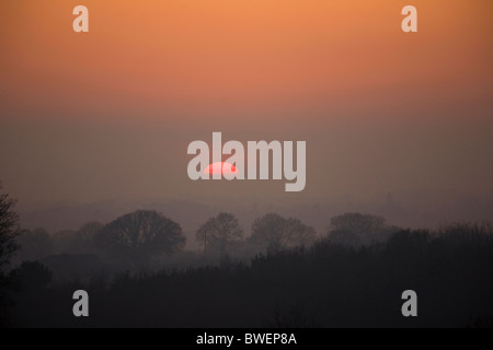 Geheimnisvolle schwebende Hälfte Einstellung im Winter steigt Nebel Sonne und Nebel über einem dunklen bewaldeten Tal unter roter Himmel in der Nähe von Hawkhurst, Kent Stockfoto