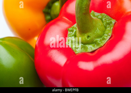Makroaufnahme von bunten Paprika, isoliert auf weiss Stockfoto