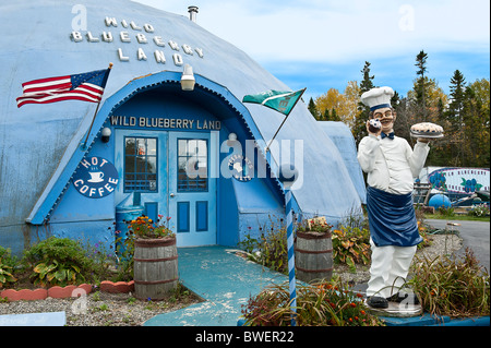 Wild Blueberry Land, Maine, USA Stockfoto