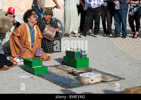Schlange-Zauberer in Meknès, Marokko. Stockfoto