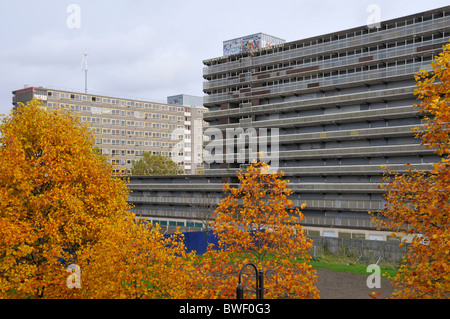 Veröde Häuser Heygate rat Wohnanlage der brutalistischen Architektur Beton Blocks bei Elephant & Castle warten auf Abriss Southwark London UK Stockfoto