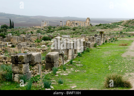 Volubilis, römische Ausgrabungsstätte in Marokko. Gesamtansicht Stockfoto