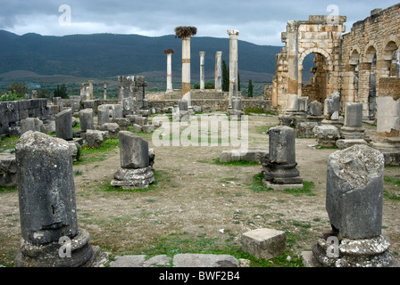 Volubilis, römische Ausgrabungsstätte in Marokko. Capitol und Basilika. Stockfoto