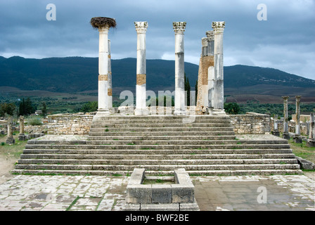 Volubilis, römische Ausgrabungsstätte in Marokko. Das Capitol. Stockfoto