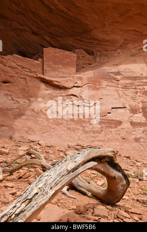 Rund 800 Jahre alte Ruinen der Indianer, Mystery Valley, Arizona, USA Stockfoto