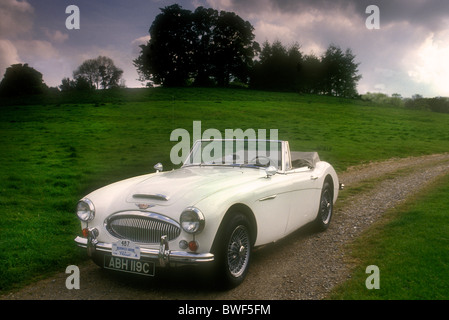 Austin Healey 3000 MKIII 1965 Stockfoto