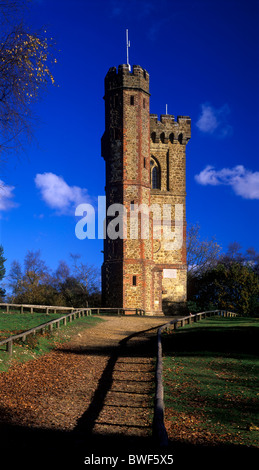 Herbstnachmittag bei The Tower, Leith Hill, Surrey, UK Stockfoto