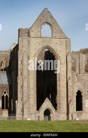 Tintern Abbey Ruinen, Monmouthsire Stockfoto