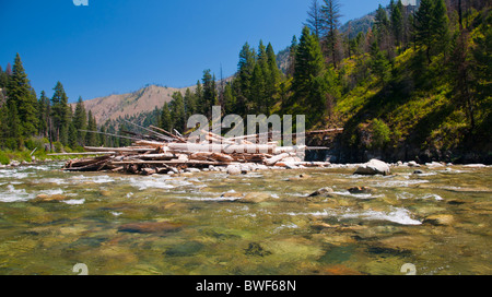 USA, Idaho, die mittleren Gabel von der Salmon River-Rafting. Gestapelte Protokolle gestapelt auf einer Sandbank nach einem hohen Wasserabfluss. Stockfoto