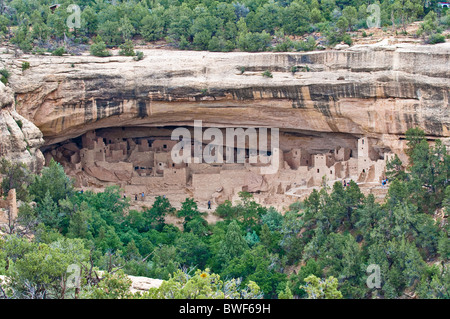 Cliff Palace, historische Gebäude in der angestammten Pueblo, Mesa Verde National Park, UNESCO-Weltkulturerbe Stockfoto