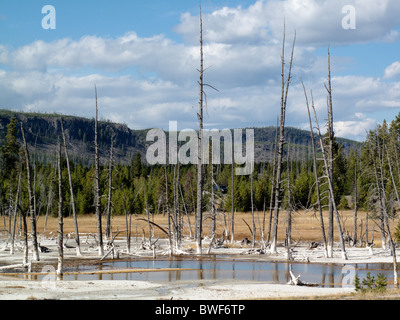 Schillernde Pool Thermalquelle im Black Sand-Becken im Yellowstone-Nationalpark in Wyoming, Vereinigte Staaten von Amerika Stockfoto